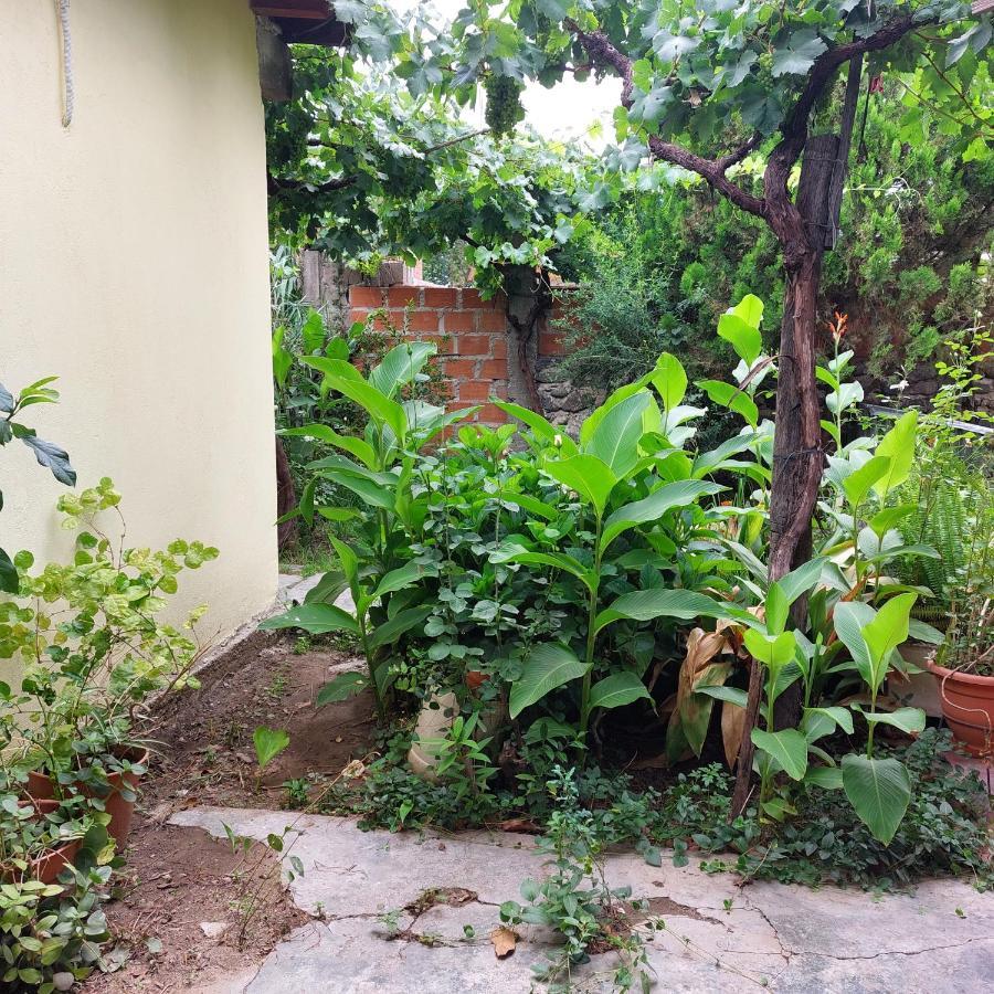Hostal Killari Cafayate Zewnętrze zdjęcie